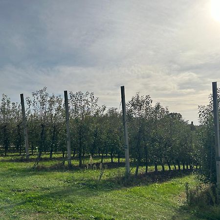 B&B Lukac Kutina Exteriör bild