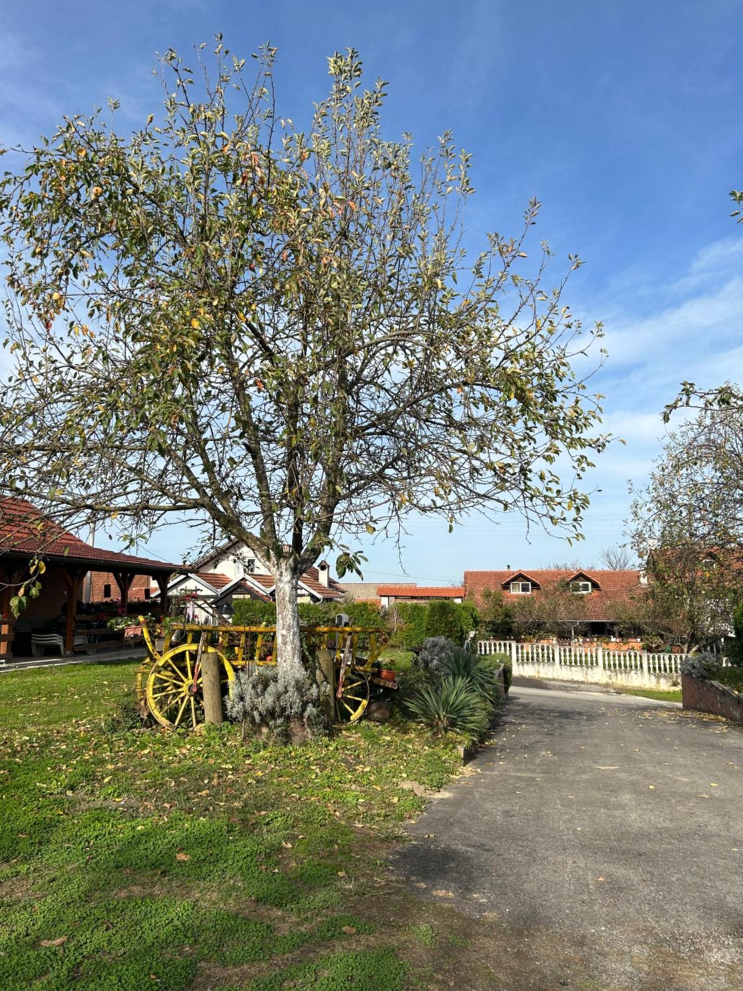 B&B Lukac Kutina Exteriör bild